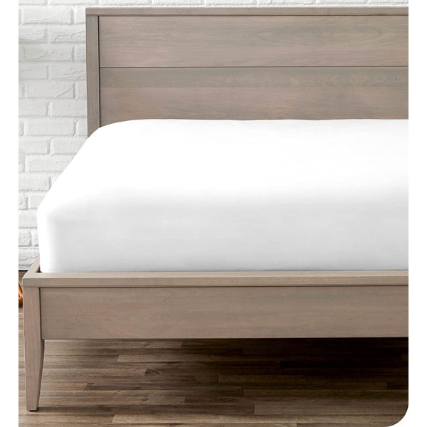 DBOZE 100 Cotton Fitted Sheet & Reviews Wayfair